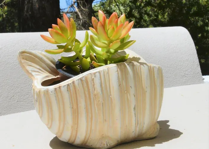 Hara Καναπίτσα